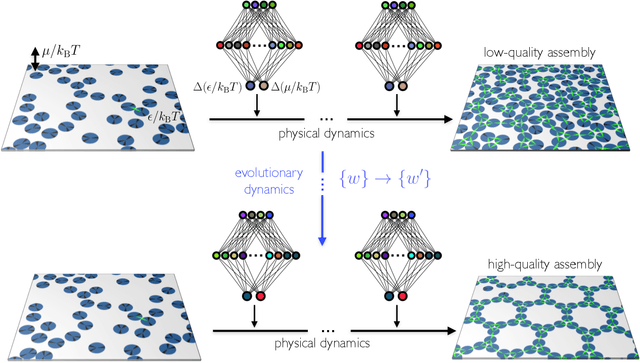 Figure 1 for Learning to grow: control of materials self-assembly using evolutionary reinforcement learning