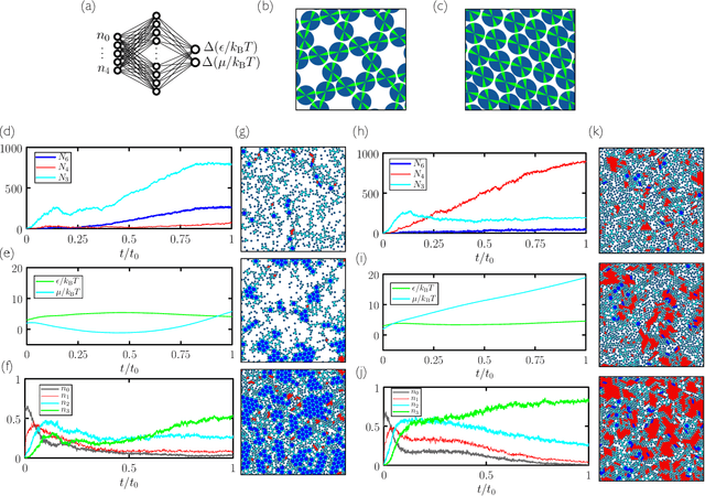 Figure 4 for Learning to grow: control of materials self-assembly using evolutionary reinforcement learning