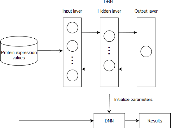 Figure 1 for A deep belief network-based method to identify proteomic risk markers for Alzheimer disease