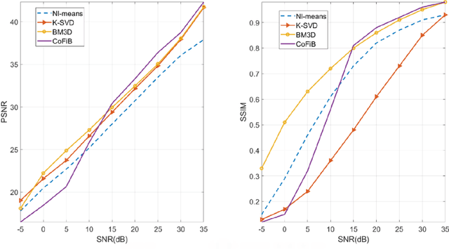 Figure 4 for Collaborative Filtering-Based Method for Low-Resolution and Details Preserving Image Denoising