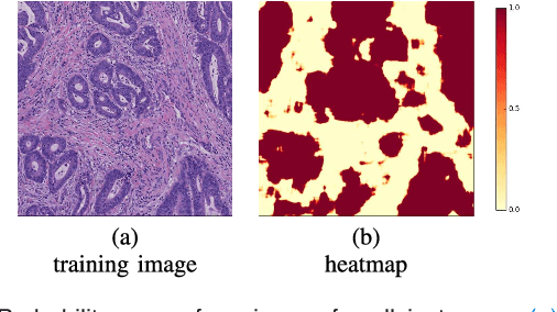 Figure 4 for Constrained Deep Weak Supervision for Histopathology Image Segmentation