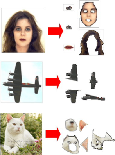 Figure 1 for A general approach for Explanations in terms of Middle Level Features