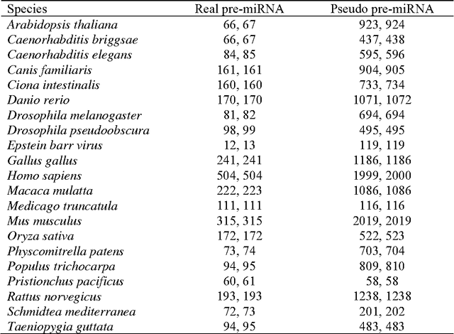 Figure 1 for Effective Classification of MicroRNA Precursors Using Combinatorial Feature Mining and AdaBoost Algorithms