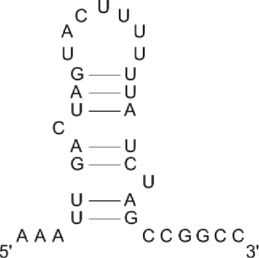 Figure 2 for Effective Classification of MicroRNA Precursors Using Combinatorial Feature Mining and AdaBoost Algorithms