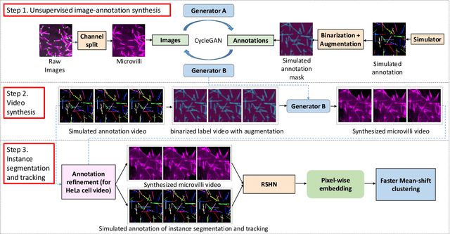 Figure 3 for Towards Annotation-free Instance Segmentation and Tracking with Adversarial Simulations