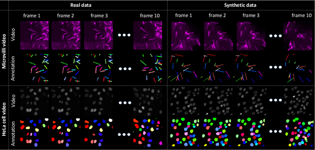 Figure 4 for Towards Annotation-free Instance Segmentation and Tracking with Adversarial Simulations