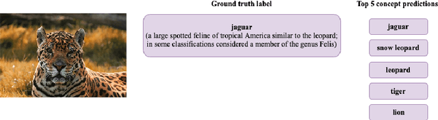 Figure 1 for Visual-Semantic Embedding Model Informed by Structured Knowledge