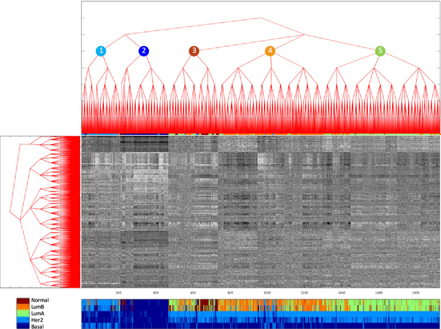 Figure 4 for Data-Driven Tree Transforms and Metrics