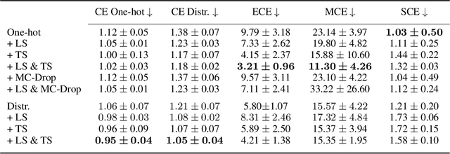 Figure 4 for Going Beyond One-Hot Encoding in Classification: Can Human Uncertainty Improve Model Performance?