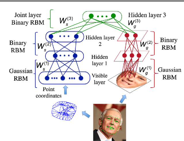 Figure 3 for Deep Appearance Models: A Deep Boltzmann Machine Approach for Face Modeling