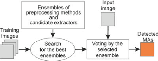 Figure 2 for An Ensemble-based System for Microaneurysm Detection and Diabetic Retinopathy Grading