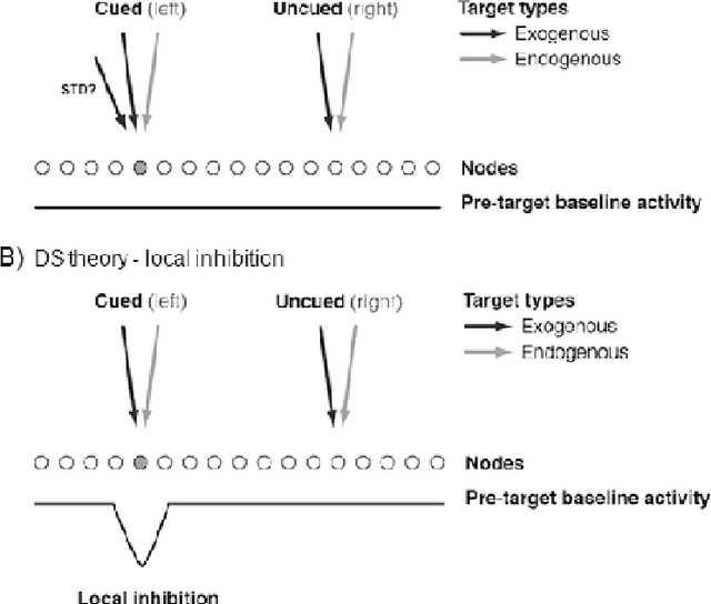 Figure 1 for Using a Dynamic Neural Field Model to Explore a Direct Collicular Inhibition Account of Inhibition of Return