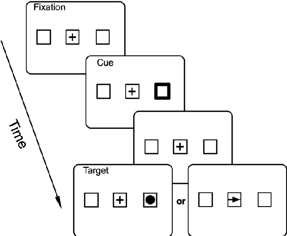 Figure 2 for Using a Dynamic Neural Field Model to Explore a Direct Collicular Inhibition Account of Inhibition of Return