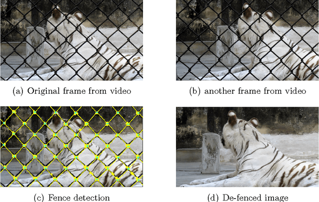 Figure 1 for Automatic Image De-fencing System