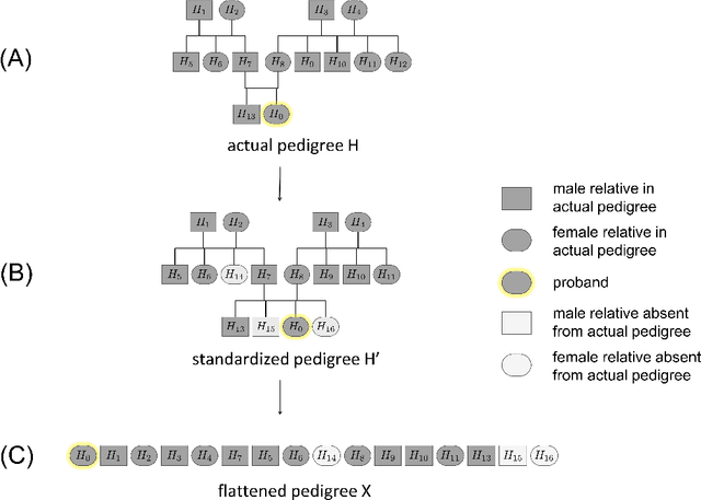 Figure 3 for Prediction of Hereditary Cancers Using Neural Networks