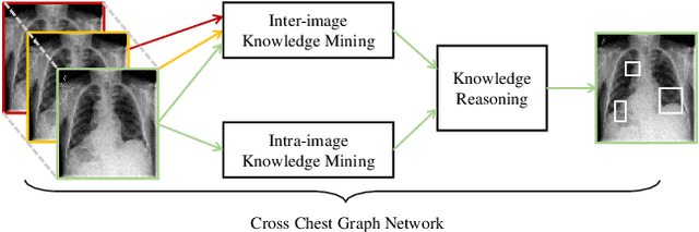 Figure 1 for Cross Chest Graph for Disease Diagnosis with Structural Relational Reasoning