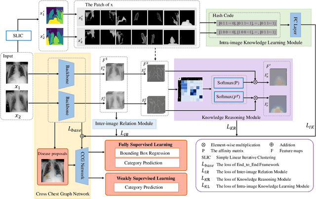 Figure 3 for Cross Chest Graph for Disease Diagnosis with Structural Relational Reasoning