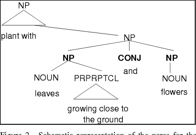 Figure 2 for Ambiguity in the Acquisition of Lexical Information