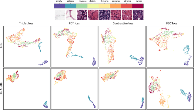 Figure 4 for Fisher Discriminant Triplet and Contrastive Losses for Training Siamese Networks