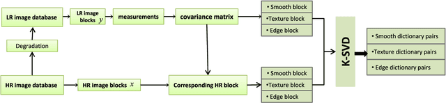 Figure 1 for Super-Resolution of Brain MRI Images using Overcomplete Dictionaries and Nonlocal Similarity