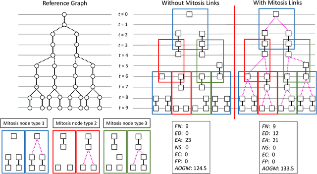 Figure 2 for Limitation of Acyclic Oriented Graphs Matching as Cell Tracking Accuracy Measure when Evaluating Mitosis