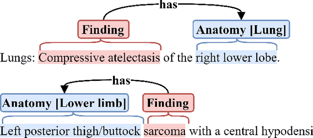 Figure 1 for Extracting Radiological Findings With Normalized Anatomical Information Using a Span-Based BERT Relation Extraction Model