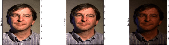 Figure 3 for Locally Linear Embedding Clustering Algorithm for Natural Imagery