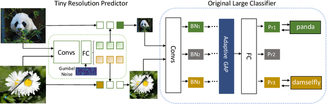 Figure 3 for Dynamic Resolution Network