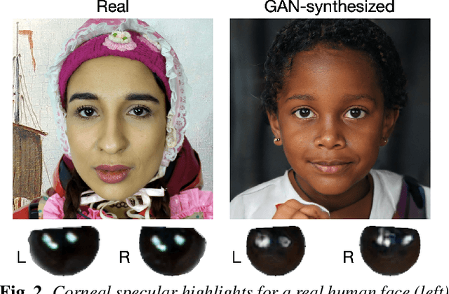 Figure 2 for Exposing GAN-generated Faces Using Inconsistent Corneal Specular Highlights