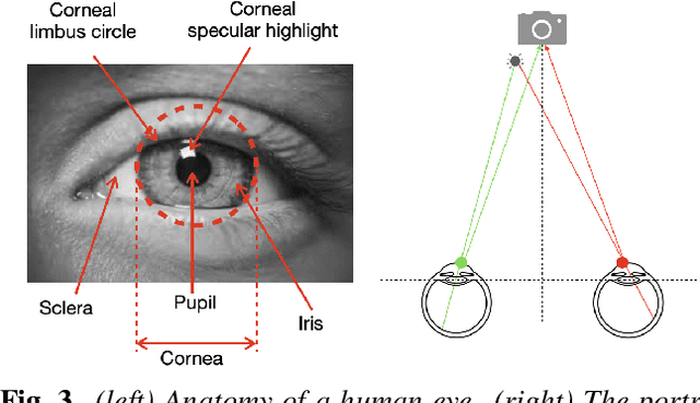 Figure 3 for Exposing GAN-generated Faces Using Inconsistent Corneal Specular Highlights