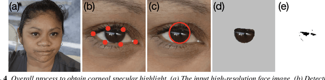 Figure 4 for Exposing GAN-generated Faces Using Inconsistent Corneal Specular Highlights