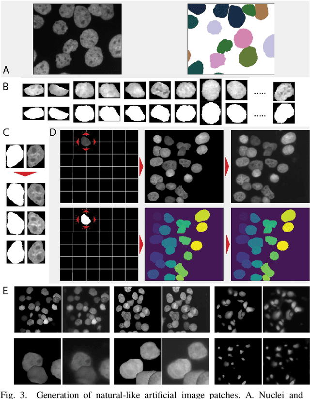 Figure 4 for Deep Learning architectures for generalized immunofluorescence based nuclear image segmentation