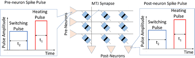 Figure 3 for Intrinsic Spike Timing Dependent Plasticity in Stochastic Magnetic Tunnel Junctions Mediated by Heat Dynamics