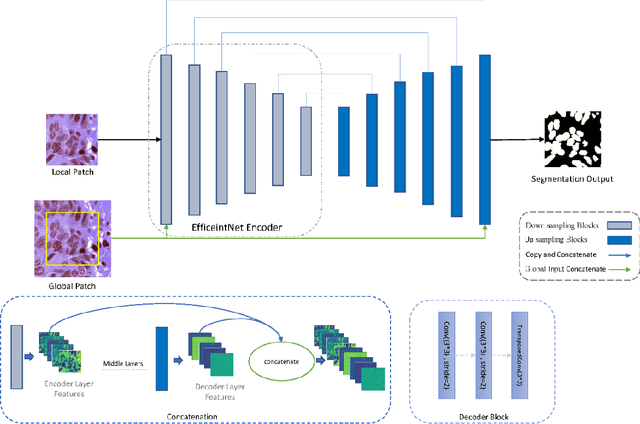 Figure 2 for Nuclei Segmentation in Histopathology Images using Deep Learning with Local and Global Views