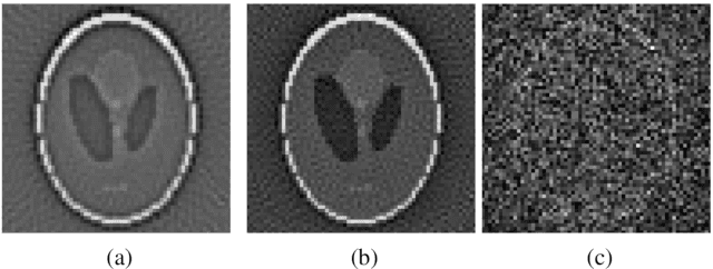 Figure 4 for On the robustness of model-based algorithms for photoacoustic tomography: comparison between time and frequency domains