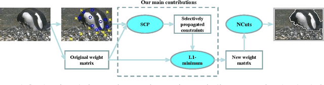 Figure 1 for Fast Constraint Propagation for Image Segmentation