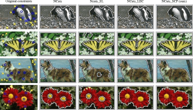 Figure 3 for Fast Constraint Propagation for Image Segmentation