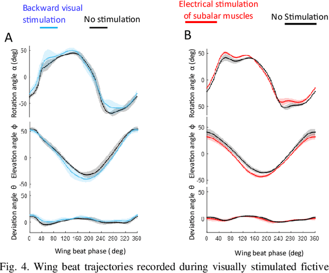 Figure 4 for Braking and Body Angles Control of an Insect-Computer Hybrid Robot by Electrical Stimulation of Beetle Flight Muscle in Free Flight