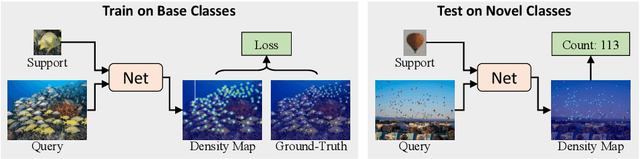 Figure 1 for Iterative Correlation-based Feature Refinement for Few-shot Counting