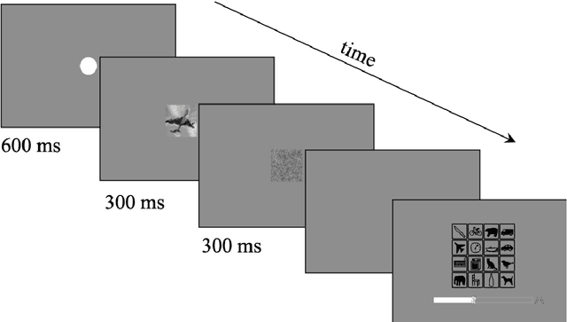 Figure 1 for The developmental trajectory of object recognition robustness: children are like small adults but unlike big deep neural networks