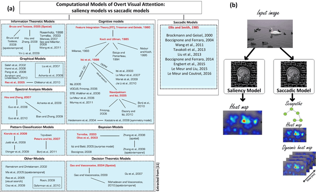 Figure 1 for Computational Model for Predicting Visual Fixations from Childhood to Adulthood