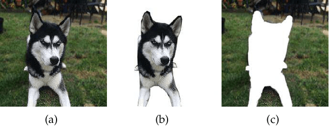 Figure 1 for Local Black-box Adversarial Attacks: A Query Efficient Approach