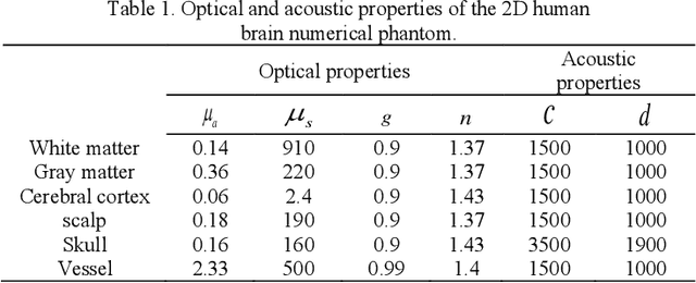 Figure 2 for Photoacoustic digital brain: numerical modelling and image reconstruction via deep learning