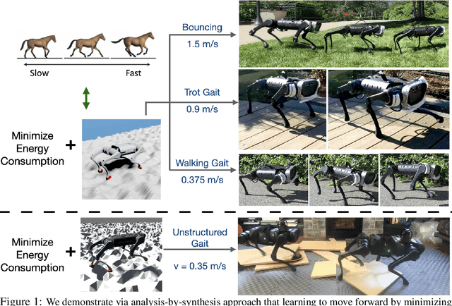 Figure 1 for Minimizing Energy Consumption Leads to the Emergence of Gaits in Legged Robots