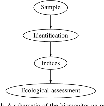 Figure 1 for Human experts vs. machines in taxa recognition