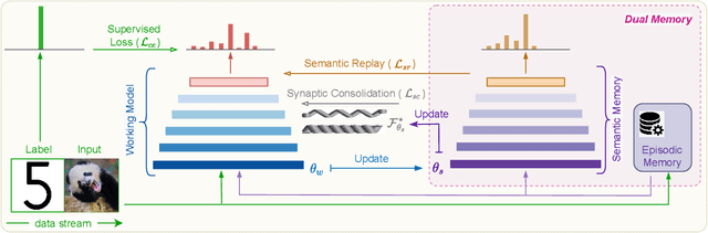 Figure 1 for SYNERgy between SYNaptic consolidation and Experience Replay for general continual learning