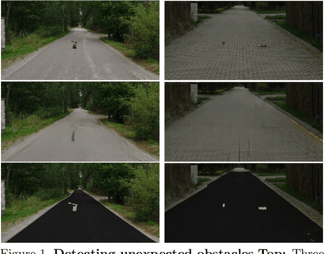 Figure 1 for Detecting Road Obstacles by Erasing Them