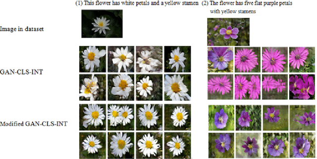 Figure 2 for Generate the corresponding Image from Text Description using Modified GAN-CLS Algorithm