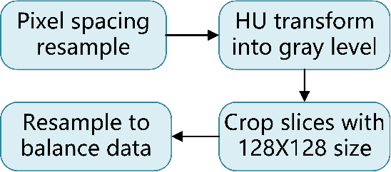 Figure 1 for A Pilot Study of Relating MYCN-Gene Amplification with Neuroblastoma-Patient CT Scans