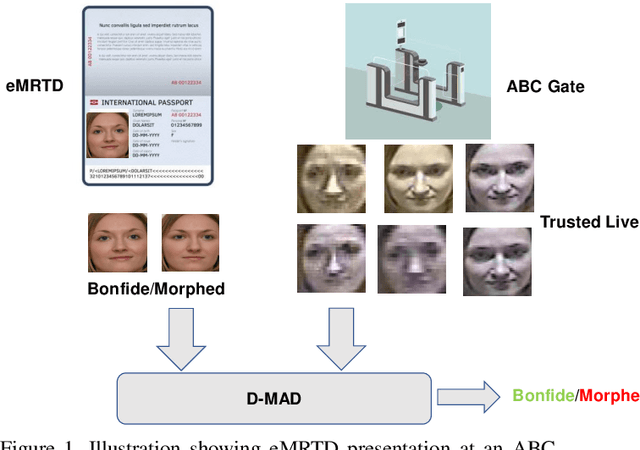 Figure 1 for Reliable Face Morphing Attack Detection in On-The-Fly Border Control Scenario with Variation in Image Resolution and Capture Distance
